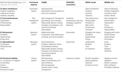 SENNA Inventory for the Assessment of Social and Emotional Skills in Public School Students in Brazil: Measuring Both Identity and Self-Efficacy